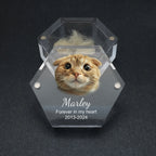 Inside of pet keepsake box