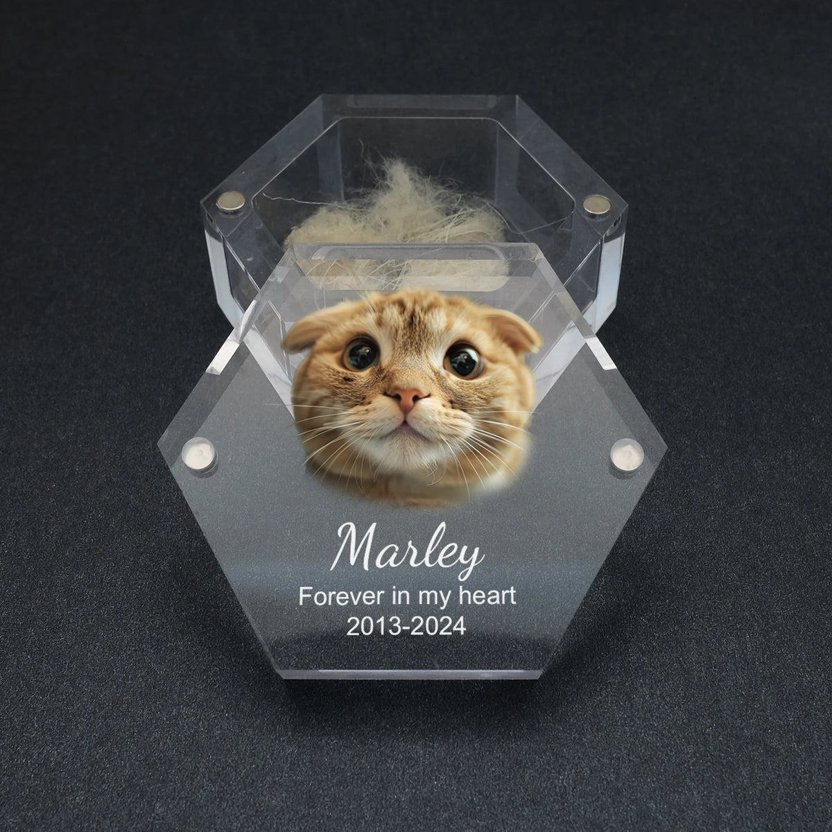 Inside of pet keepsake box
