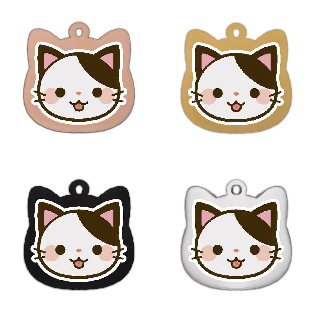 Cat wearing personalized name tag