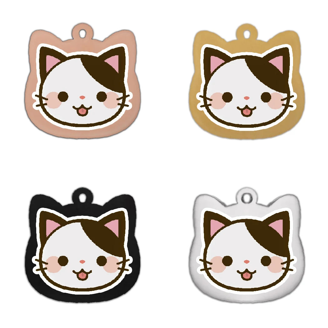 Cat wearing personalized name tag