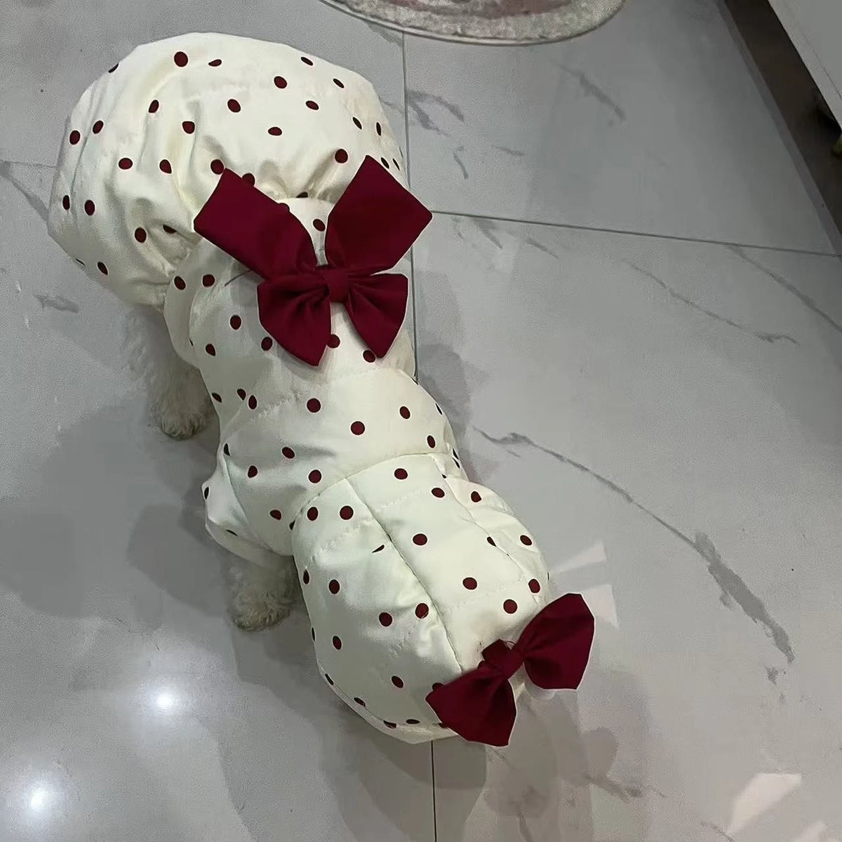 Thick pet coat with cute bow