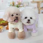 Warm hoodie for small dogs