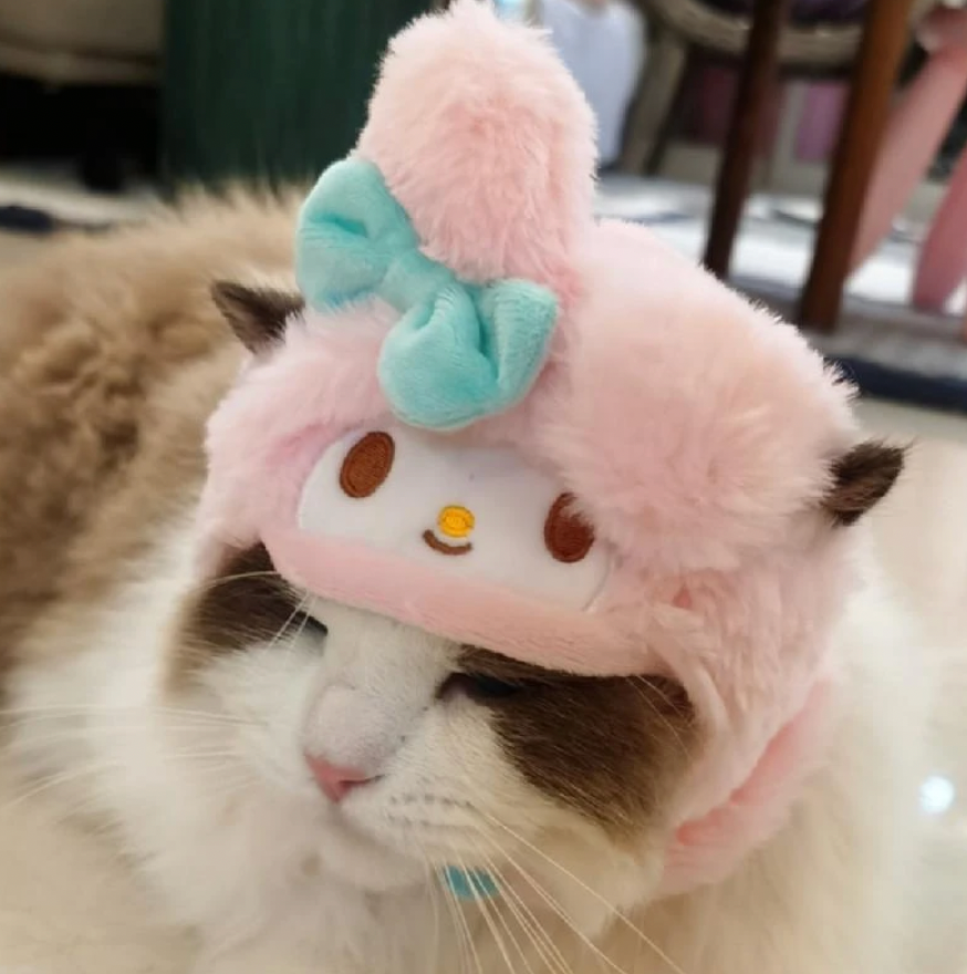 Cat Hats