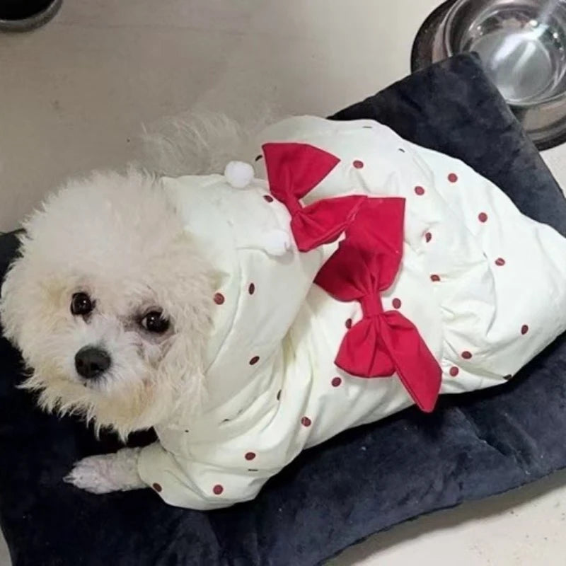 Warm puppy and cat clothes