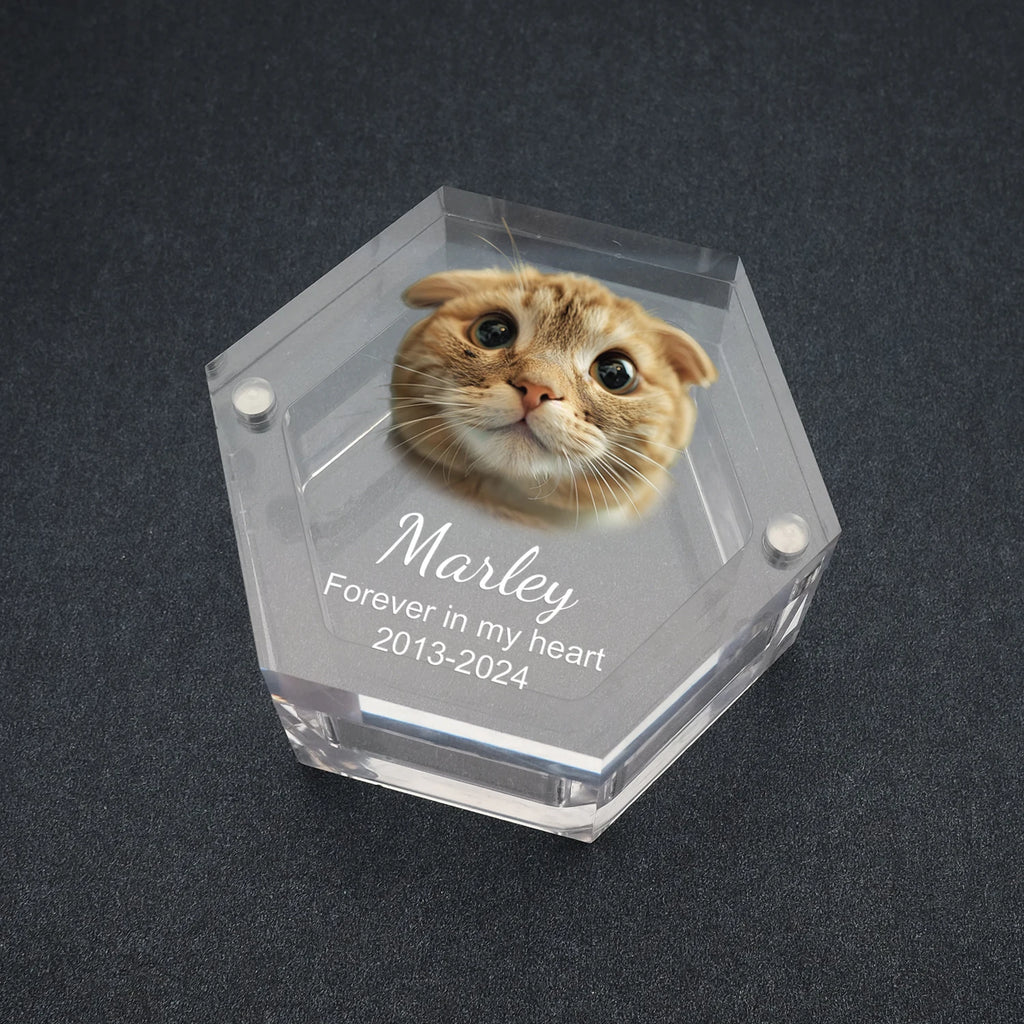 Pet memorial keepsake box with photo