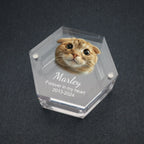 Pet memorial keepsake box with photo
