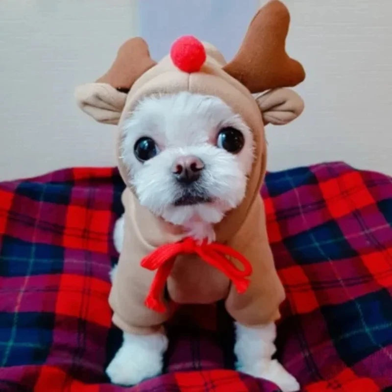 Warm holiday pet hoodie