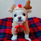 Warm holiday pet hoodie