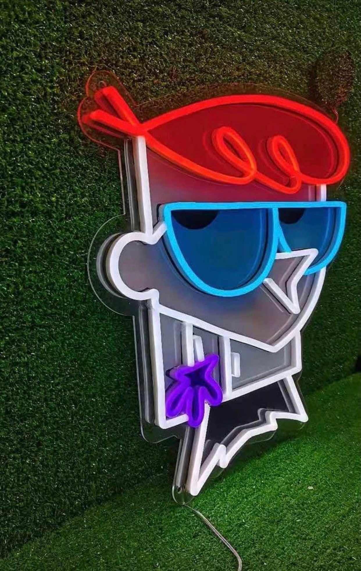 DEXTERS LAB